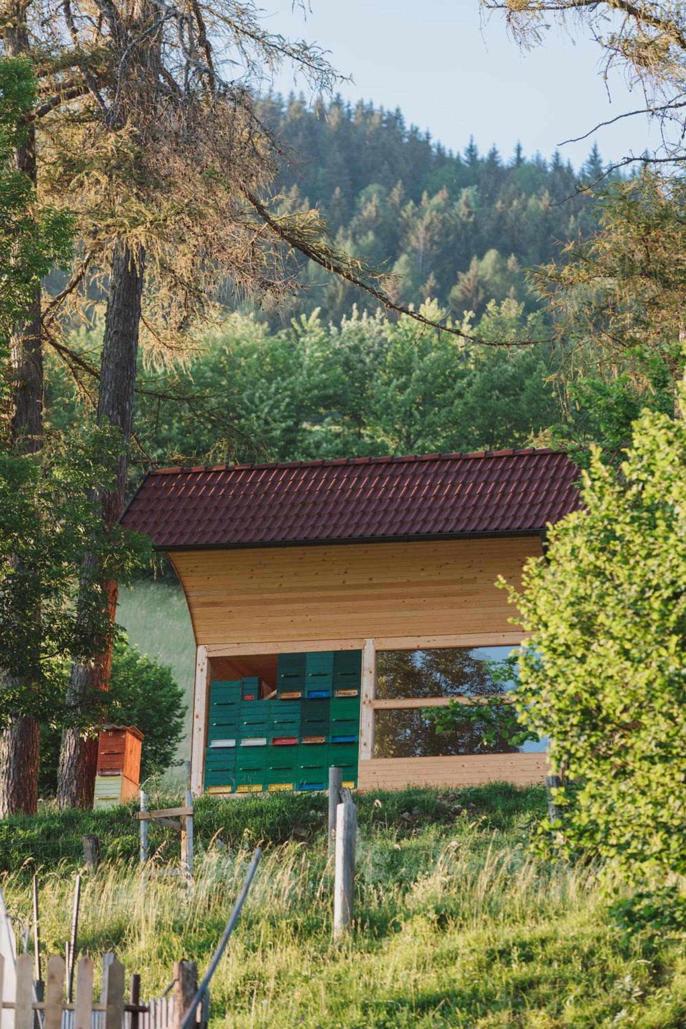 Tourist Farm Pr'Dovar Cerklje na Gorenjskem Exterior foto