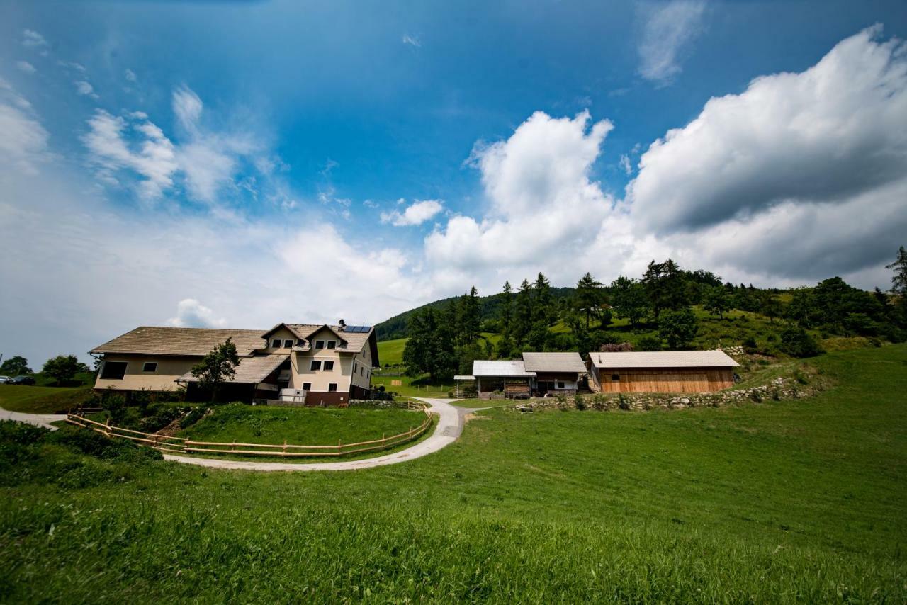Tourist Farm Pr'Dovar Cerklje na Gorenjskem Exterior foto
